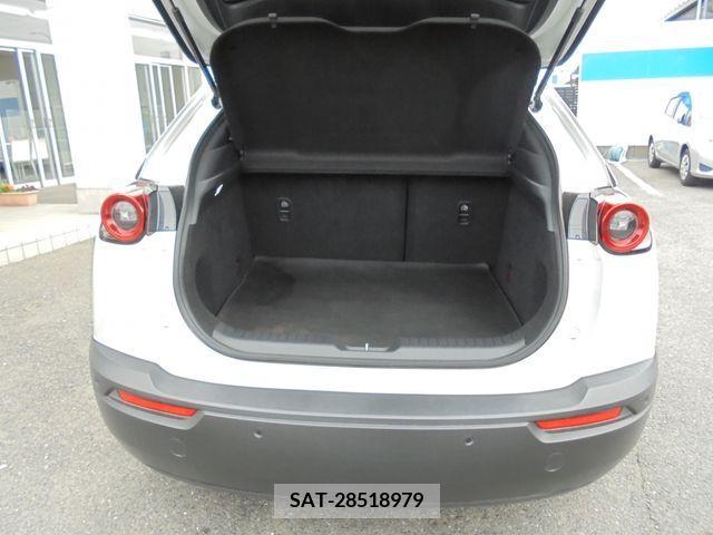 Mazda MX-30 2021-01 278423-16