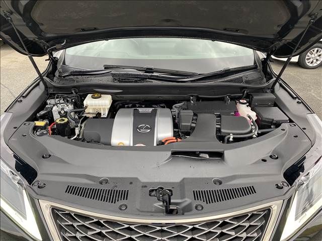 Lexus RX 2021-06 22999-17