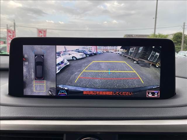 Lexus RX 2021-06 22999-7