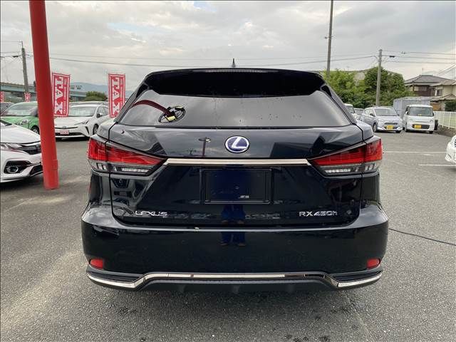 Lexus RX 2021-06 22999-15