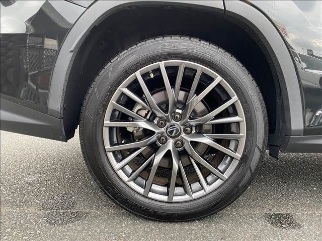 Lexus RX 2021-06 22999-19