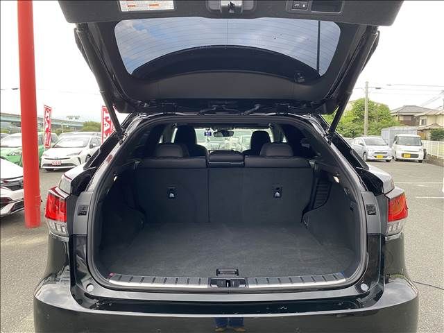 Lexus RX 2021-06 22999-14