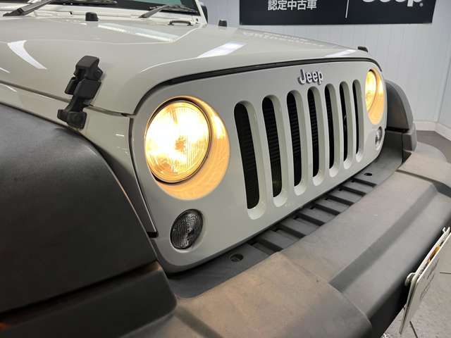 Jeep WRANGLER 2018-11 10189-7