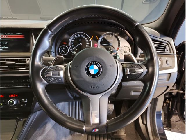 Bmw 5 SERIES 2017-01 196567-15