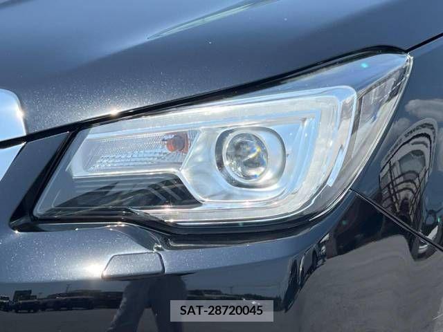 Subaru FORESTER 2017-01 315963-15