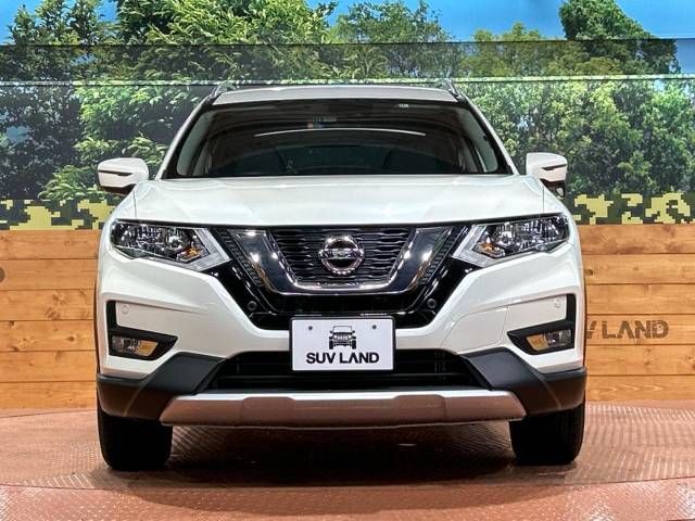 Nissan X-TRAIL 2018-11 190244-14
