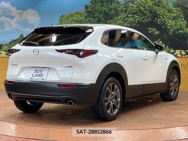 Mazda CX-30 2020-08 265648-17