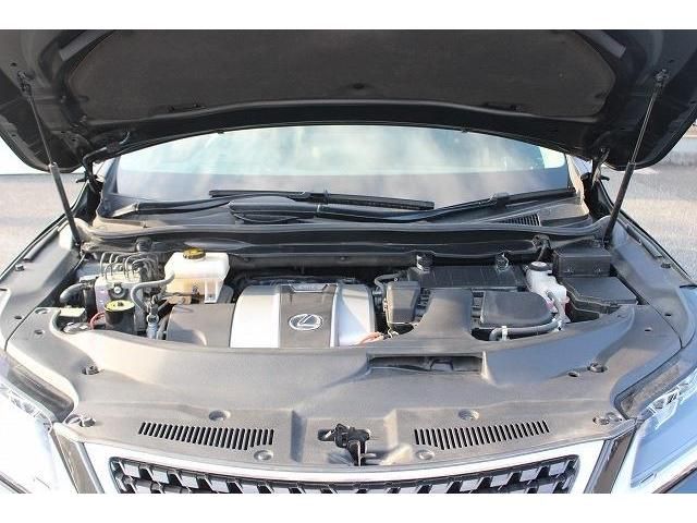 Lexus RX 2020-06 6327-18