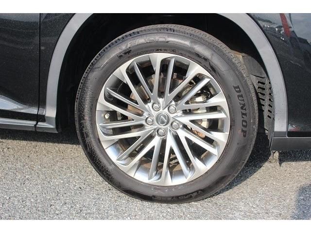 Lexus RX 2020-06 6327-11