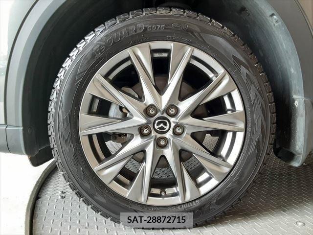 Mazda CX-8 2019-09 396253-29