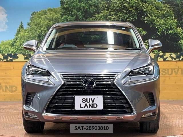Lexus NX 2018-05 388316-14