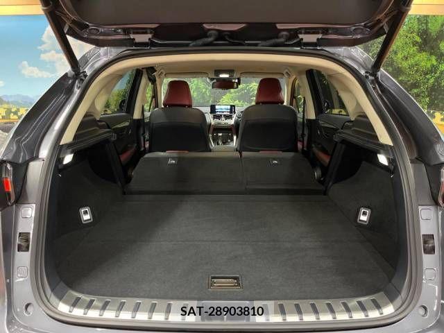Lexus NX 2018-05 388316-10