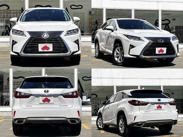 Lexus RX 2016-02 22035-7