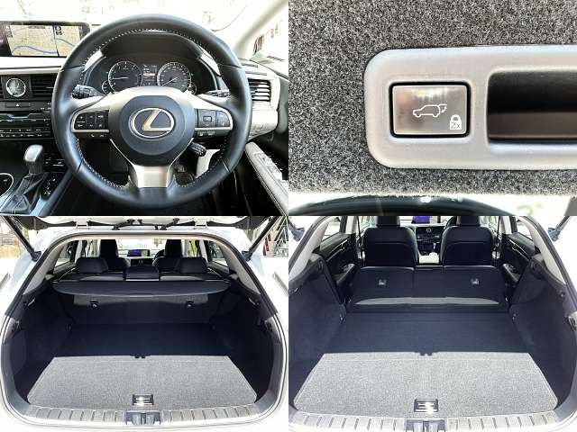 Lexus RX 2016-02 22035-6