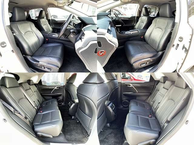 Lexus RX 2016-02 22035-8