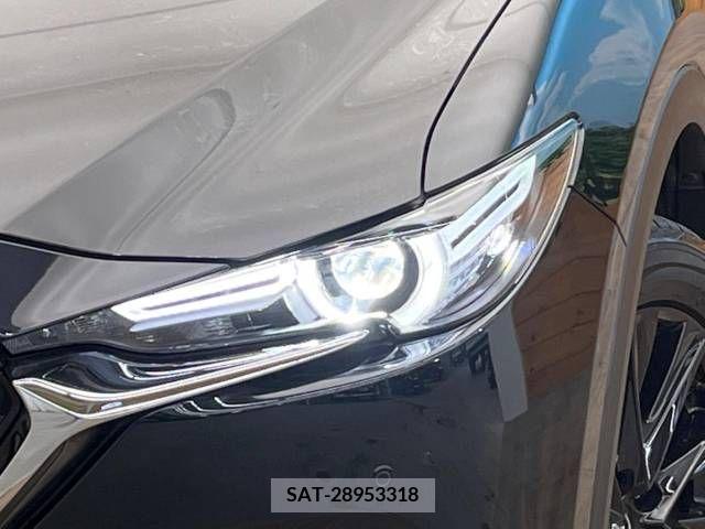 Mazda CX-8 2021-03 378491-12