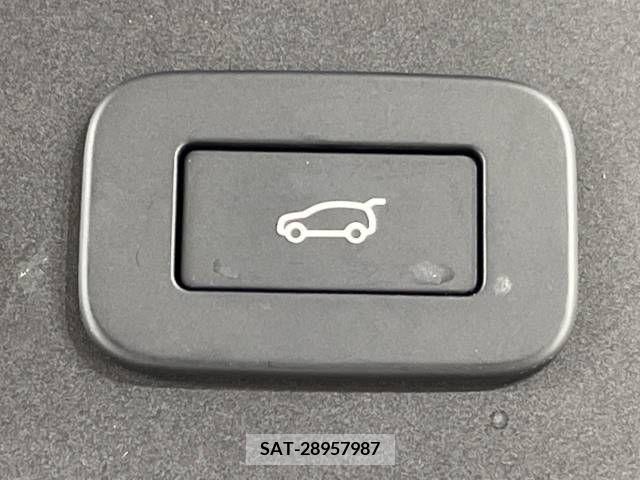 ROVER RANGE ROVER 2023-03 213029-10