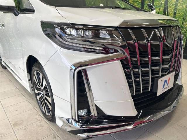 Toyota ALPHARD 2020-12 181842-12