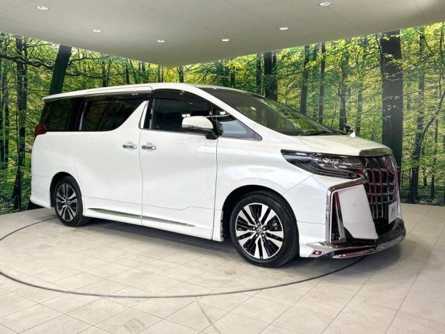 Toyota ALPHARD 2020-12 181842-16