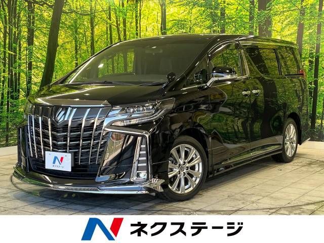 Toyota ALPHARD 2020-11 20829-0