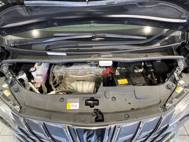 Toyota ALPHARD 2020-11 20829-19