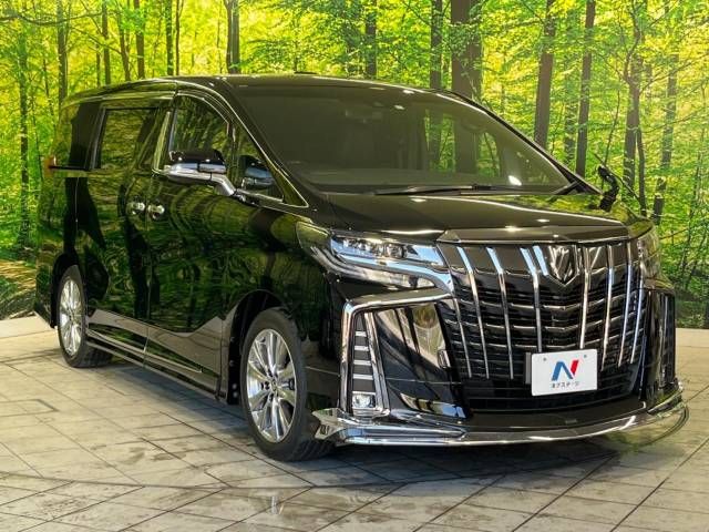 Toyota ALPHARD 2020-11 20829-17