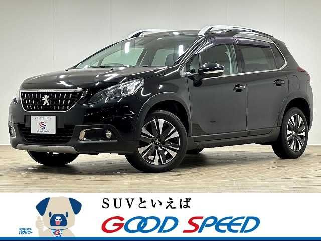 Peugeot 2008 2017-06 183338-0
