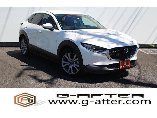 Mazda CX-30 2019-12 22811-0