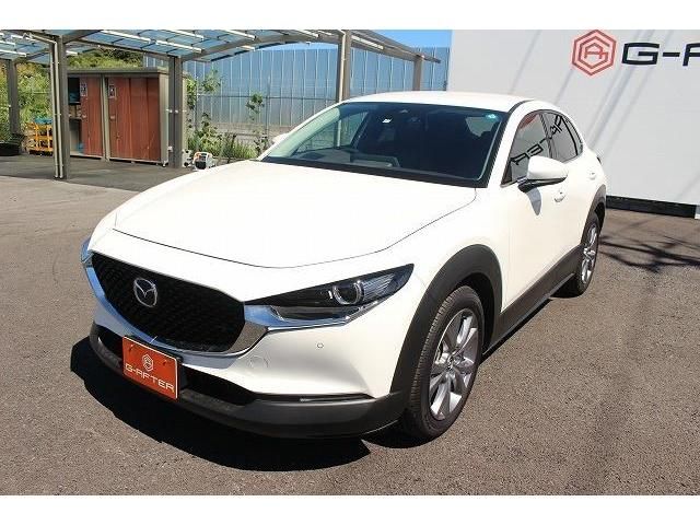 Mazda CX-30 2019-12 22811-10