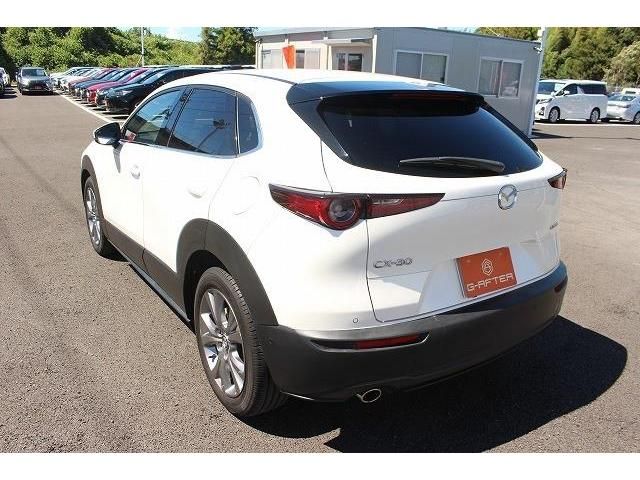 Mazda CX-30 2019-12 22811-9