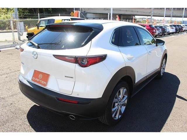 Mazda CX-30 2019-12 22811-8