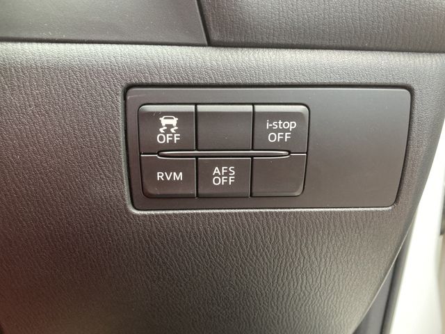 Mazda AXELA SPORT 2013-10 24707-21