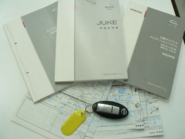 Nissan JUKE 2012-01 1227-24