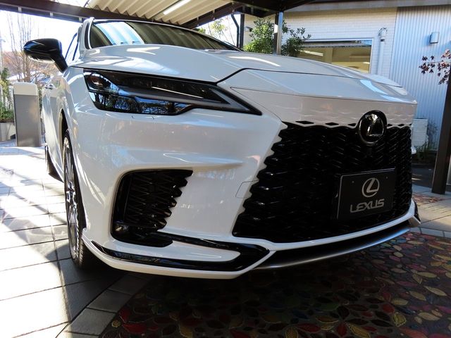 Lexus RX 2023-06 187348-0
