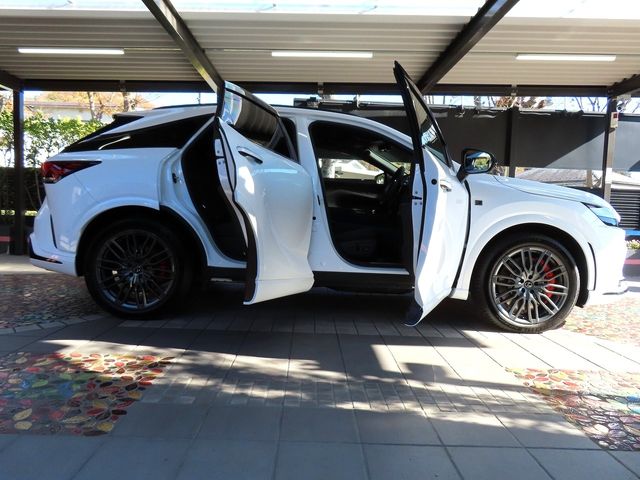 Lexus RX 2023-06 187348-13