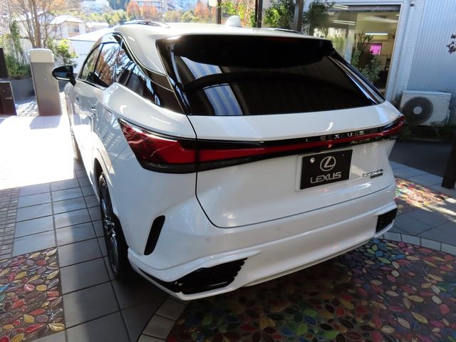 Lexus RX 2023-06 187348-10