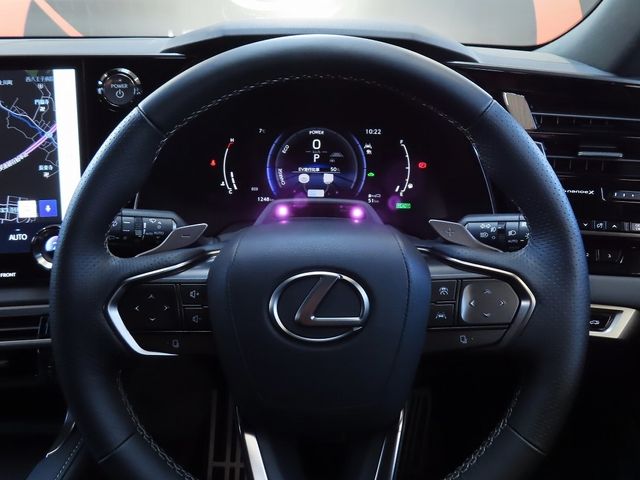 Lexus RX 2023-06 187348-23