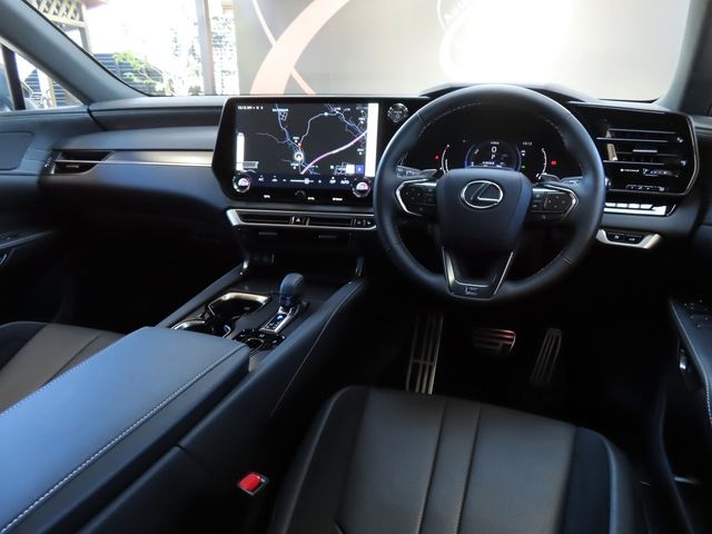 Lexus RX 2023-06 187348-18