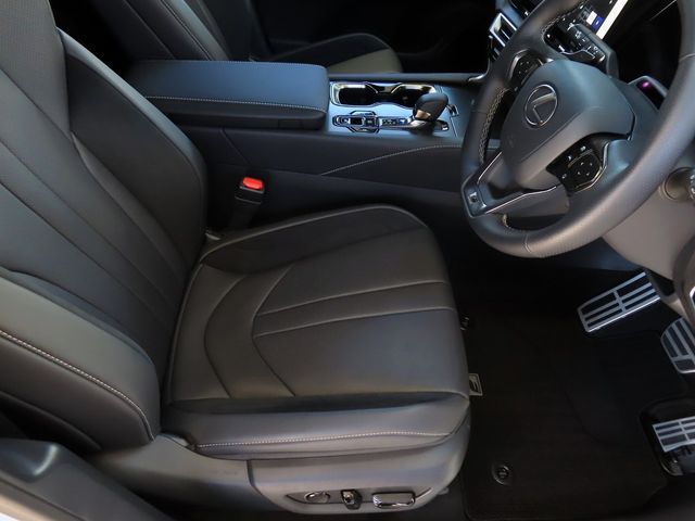Lexus RX 2023-06 187348-16
