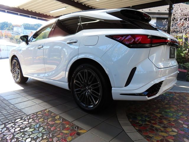 Lexus RX 2023-06 187348-12