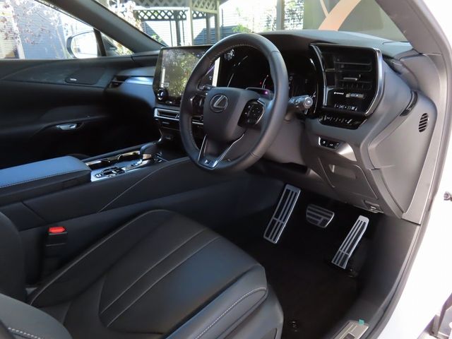 Lexus RX 2023-06 187348-14