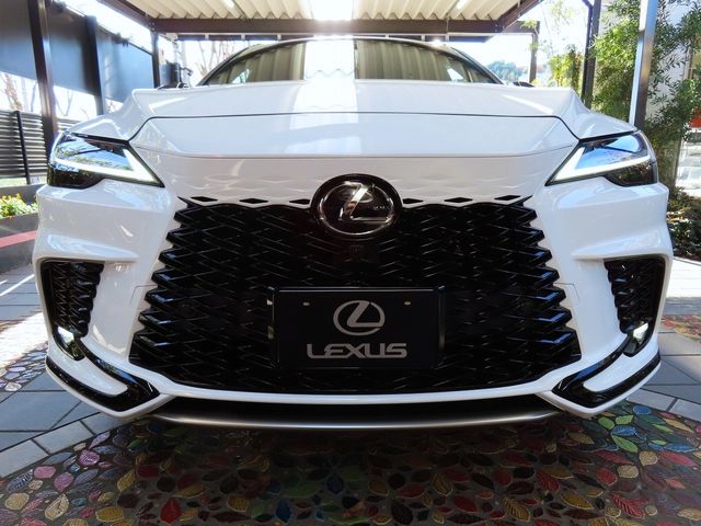 Lexus RX 2023-06 187348-3
