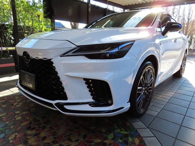 Lexus RX 2023-06 187348-5
