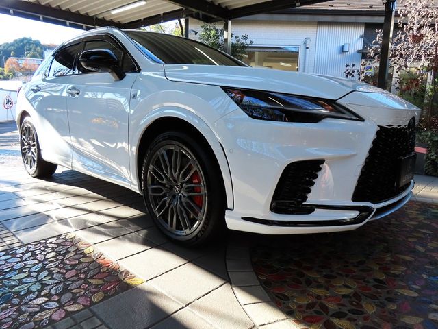Lexus RX 2023-06 187348-11