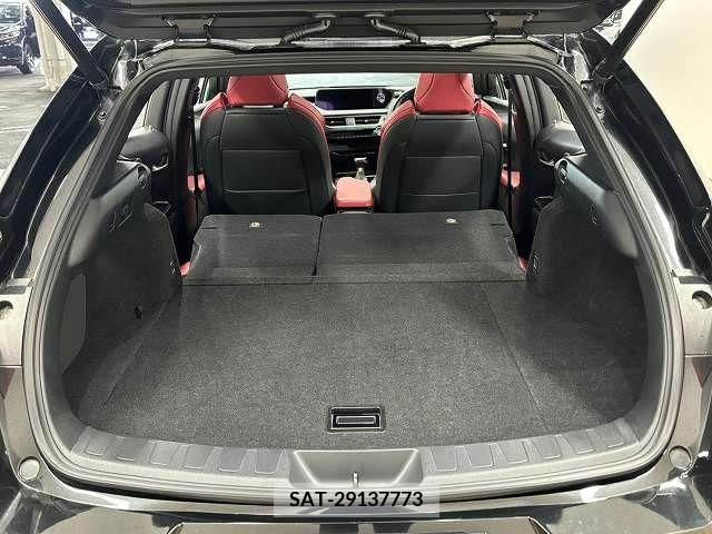 Lexus UX 2019-03 354235-12
