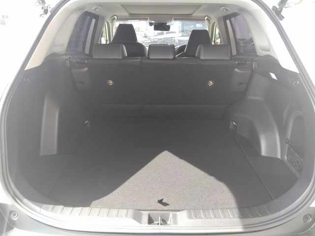 Toyota RAV4 2019-09 20750-19