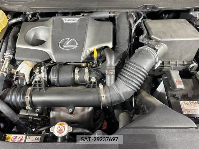 Lexus RX 2022-02 275827-18
