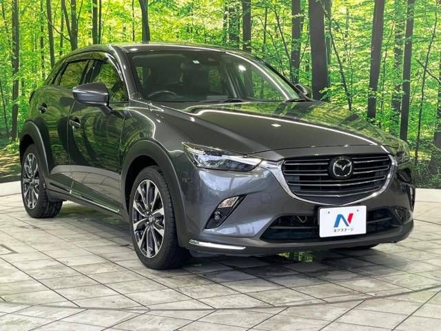 Mazda CX-3 2018-11 9639-16