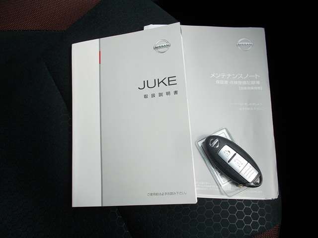 Nissan JUKE 2012-05 10812-5
