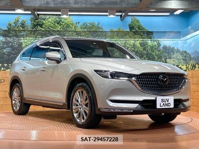 Mazda CX-8 2021-11 390284-16